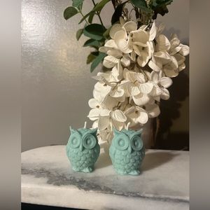 Owls 🦉 Set 2 - TBD